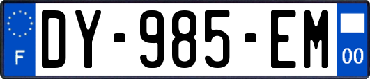 DY-985-EM