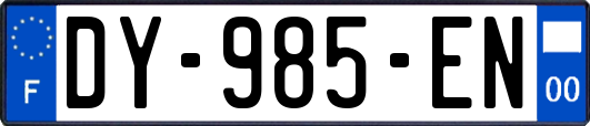 DY-985-EN