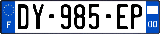DY-985-EP