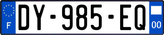 DY-985-EQ