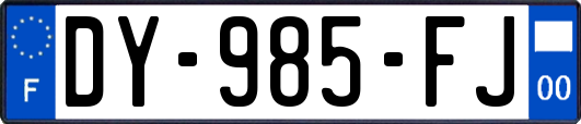 DY-985-FJ