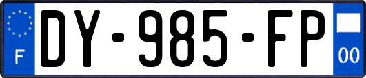 DY-985-FP