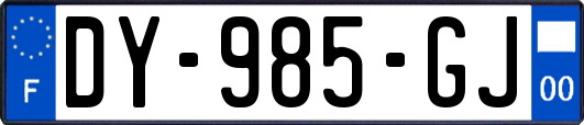 DY-985-GJ