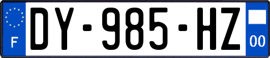 DY-985-HZ