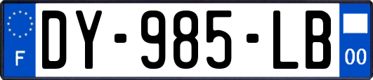 DY-985-LB