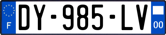 DY-985-LV