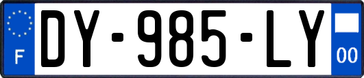 DY-985-LY
