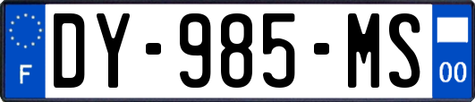 DY-985-MS