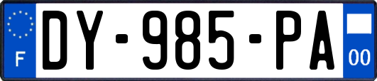 DY-985-PA