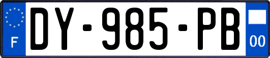 DY-985-PB