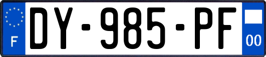 DY-985-PF