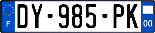 DY-985-PK