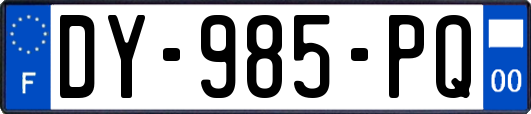 DY-985-PQ