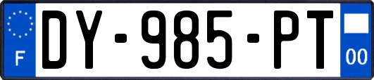 DY-985-PT