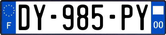DY-985-PY