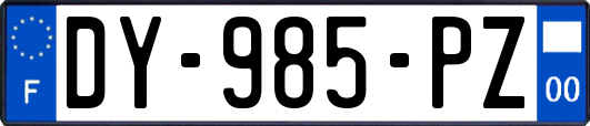 DY-985-PZ