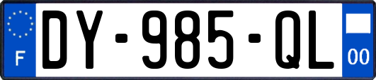 DY-985-QL