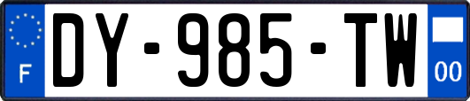 DY-985-TW