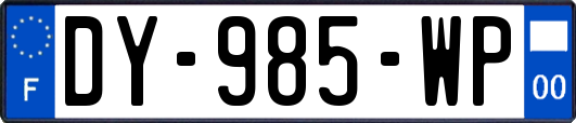 DY-985-WP