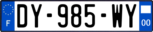 DY-985-WY