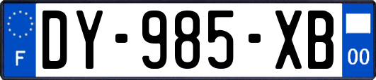 DY-985-XB