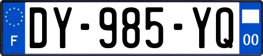 DY-985-YQ