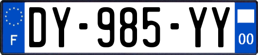 DY-985-YY