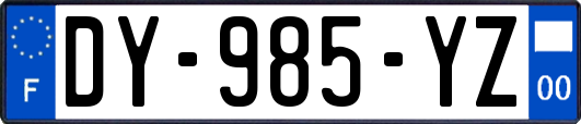 DY-985-YZ