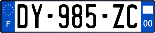 DY-985-ZC