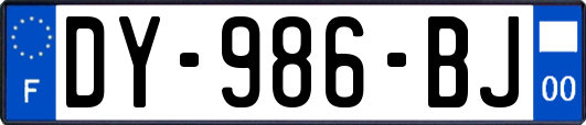DY-986-BJ