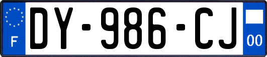 DY-986-CJ