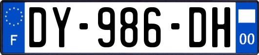 DY-986-DH