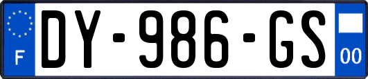 DY-986-GS