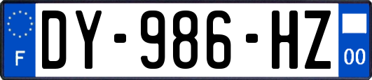 DY-986-HZ