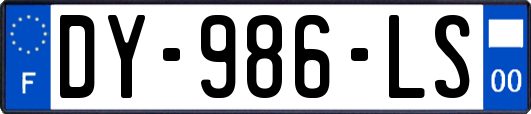 DY-986-LS