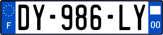 DY-986-LY