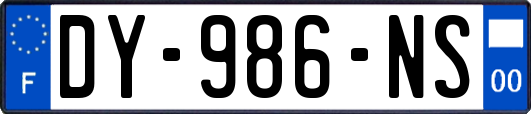 DY-986-NS