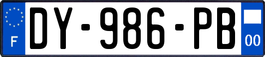 DY-986-PB