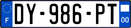 DY-986-PT
