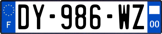 DY-986-WZ