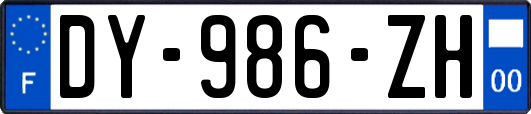 DY-986-ZH