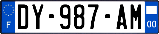 DY-987-AM