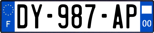 DY-987-AP
