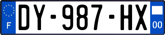 DY-987-HX