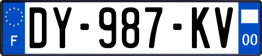 DY-987-KV