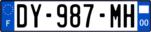 DY-987-MH