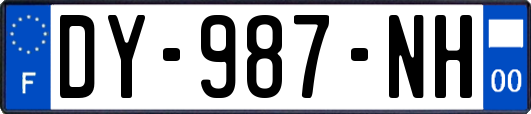 DY-987-NH