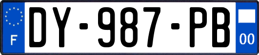 DY-987-PB