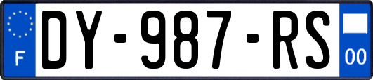 DY-987-RS