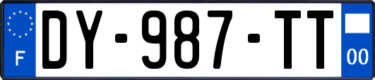 DY-987-TT